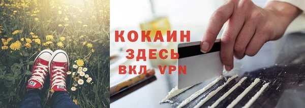 стаф Медногорск