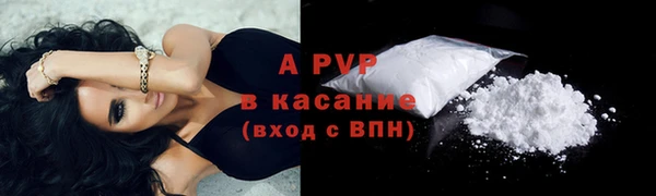 стаф Медногорск