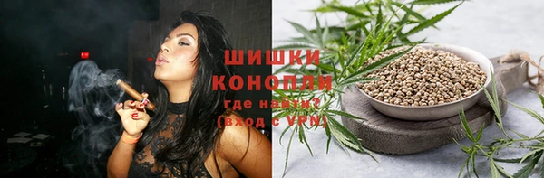 СК Мегион