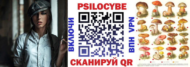 где купить маркетплейс официальный сайт Галлюциногенные грибы MAGIC MUSHROOMS Каргат MEGA зеркало